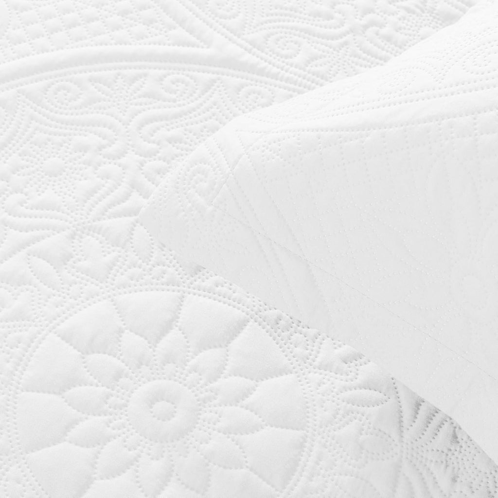 Twin Quilt Set - Lightweight Microfiber Twin Size Summer Bedspread - Modern Style Coin Pattern Soft Ultrasonic Coverlet Quilts Bedding Set for All Season, 2 Piece (1 Quilt, 1 Pillow Sham)